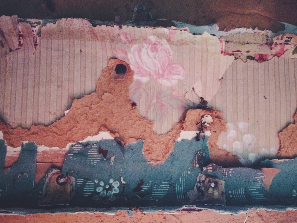 Tapet på Kvarnskogens torp i Ölmstad