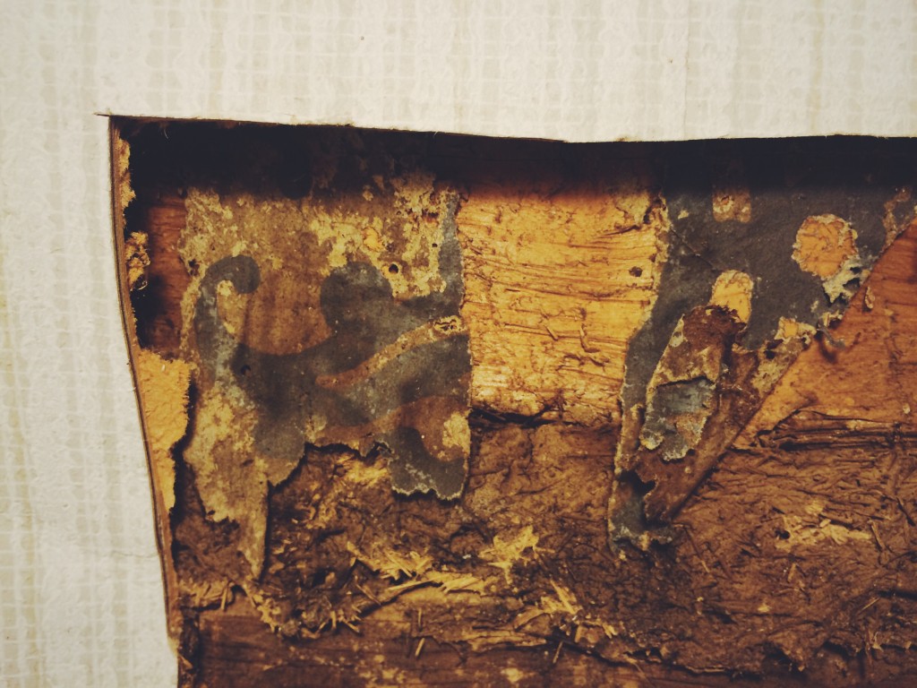 Tapet på Kvarnskogens torp i Ölmstad