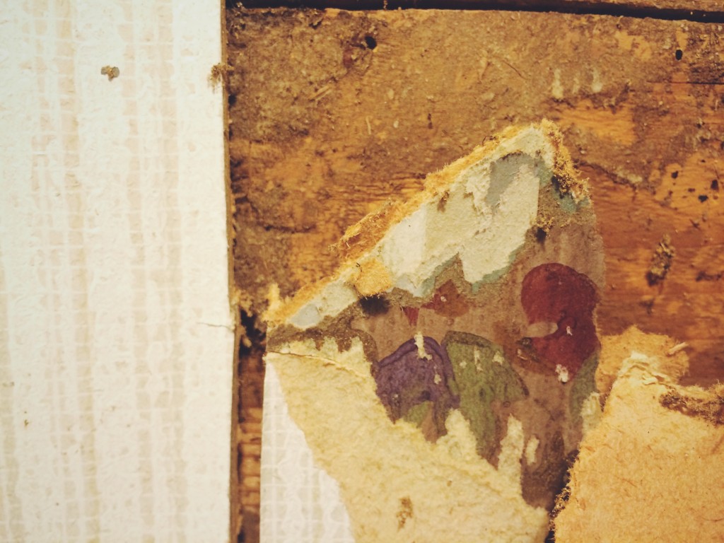 Tapet på Kvarnskogens torp i Ölmstad