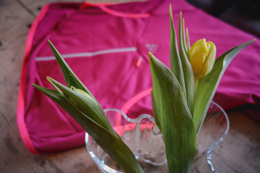 Belle_jersey_craft-9