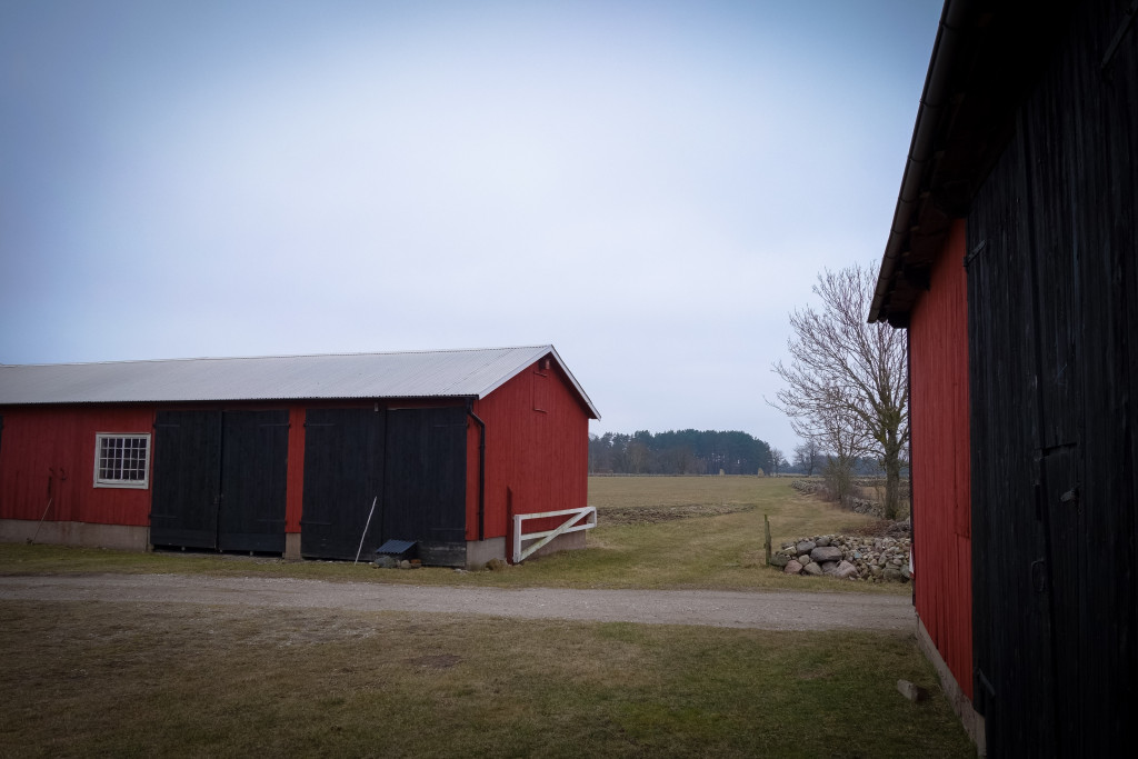oland_mars_snaps-3