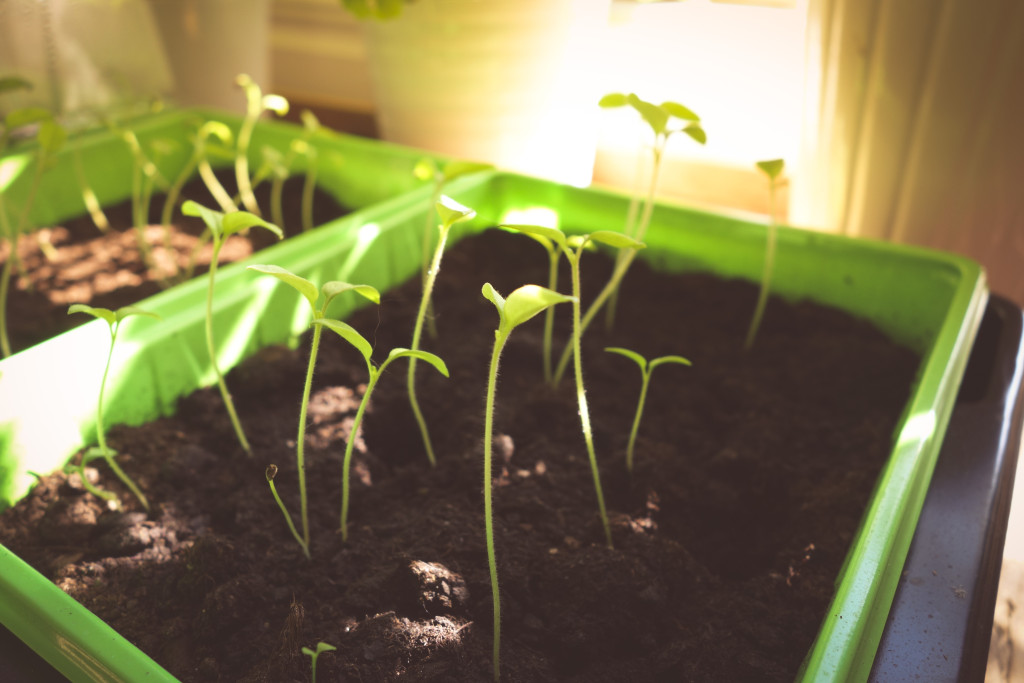 kvarnskogen_april-10