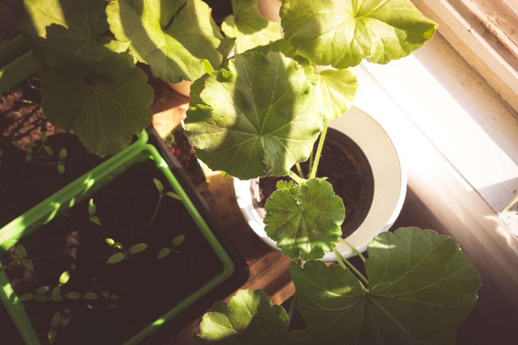 kvarnskogen_april-11