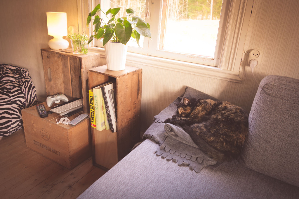 kvarnskogen_april-14