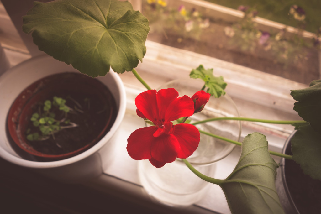 kvarnskogen_april-15