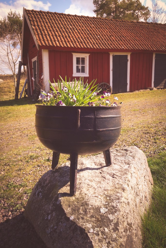 Vår på Kvarnskogen