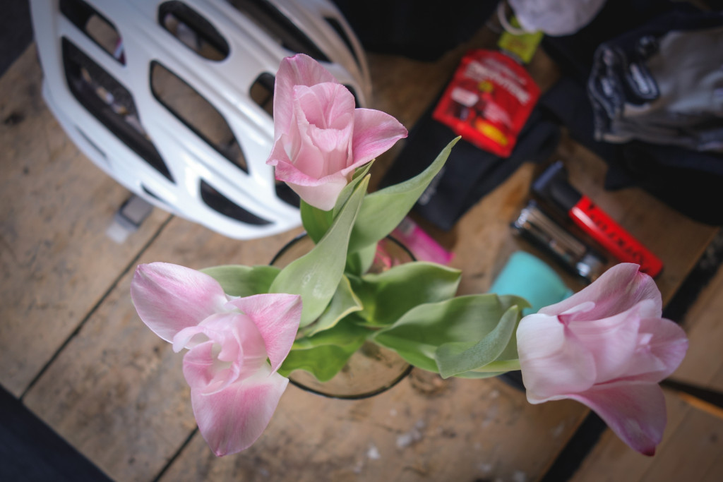 Vår: Tulpaner och cykelprylar