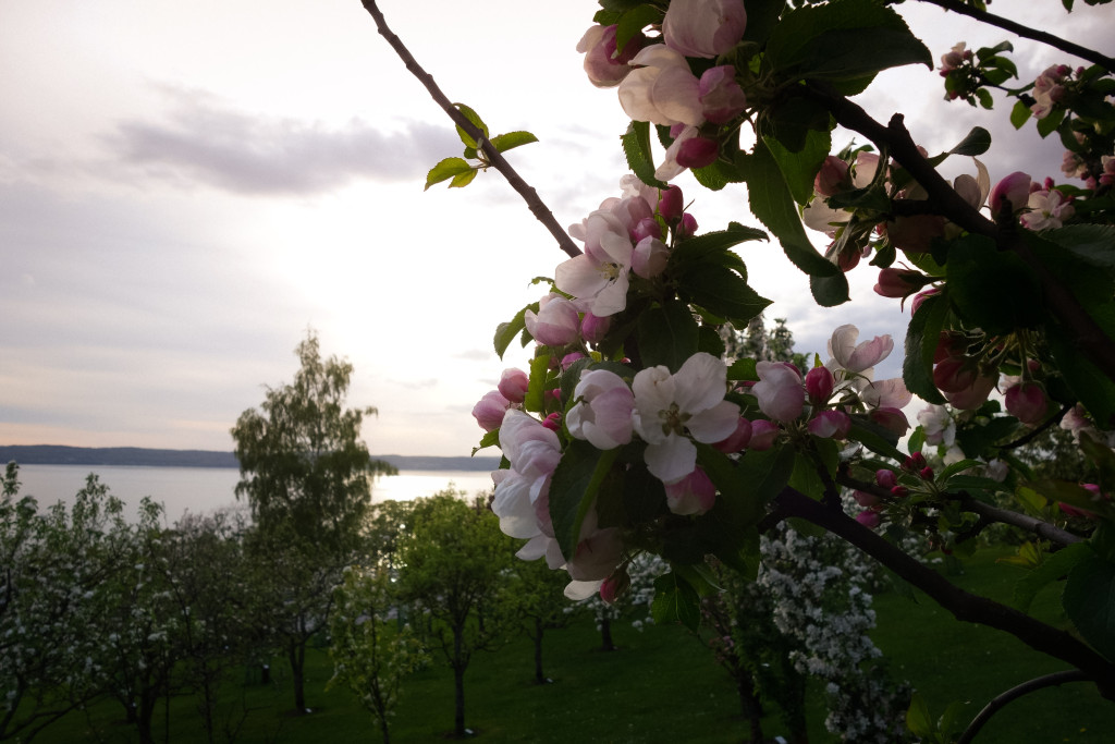 Brunstorp-5