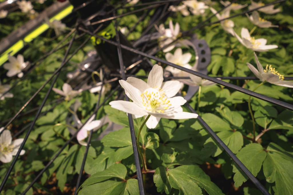 euromtb_med_eskil-12