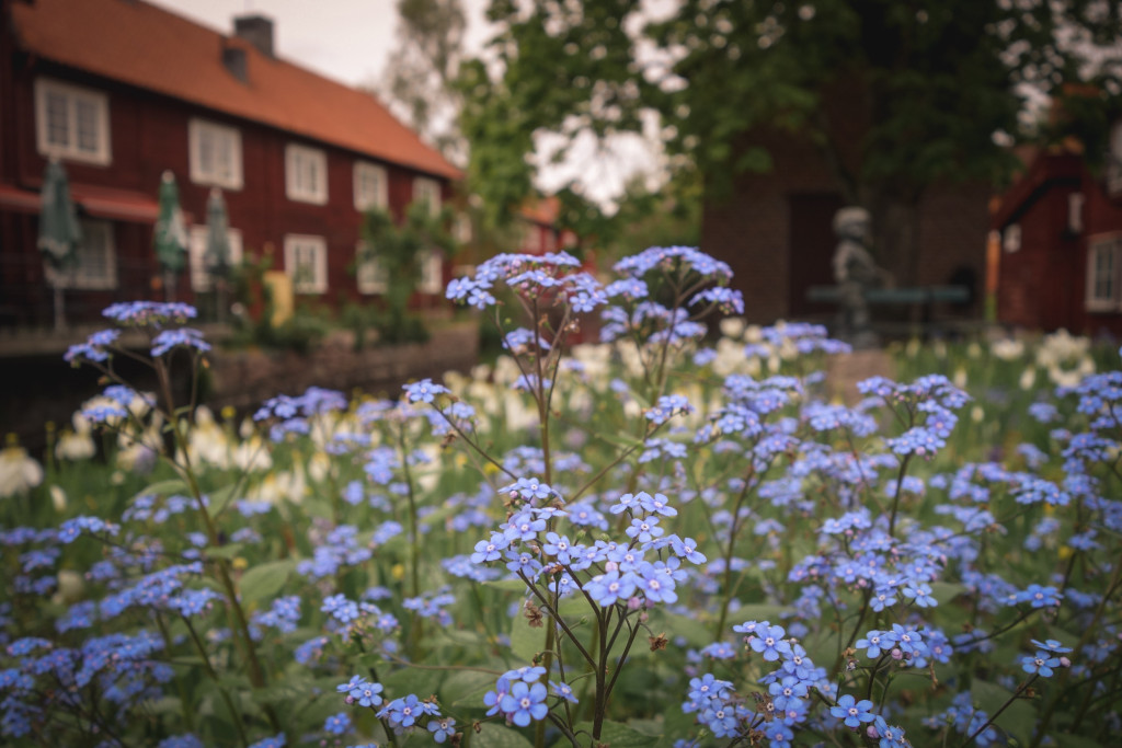skurugata_och_eksjo-17