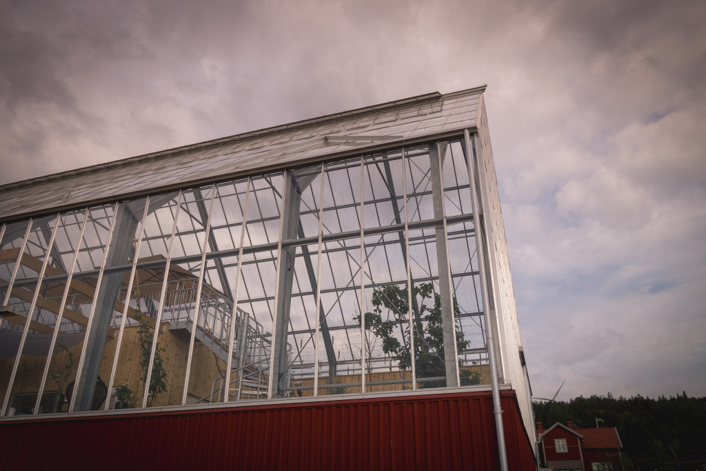 uppgrenna_naturhus-13