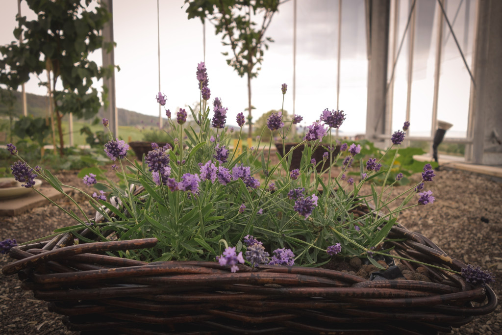 uppgrenna_naturhus-5