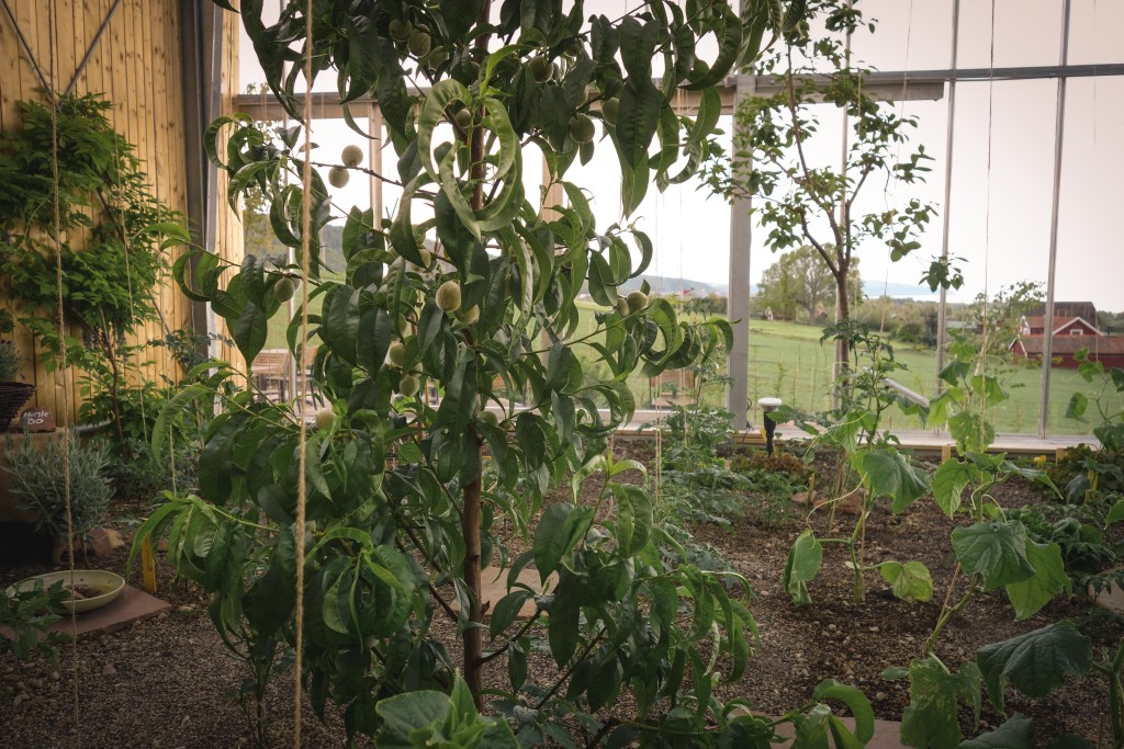 uppgrenna_naturhus-6