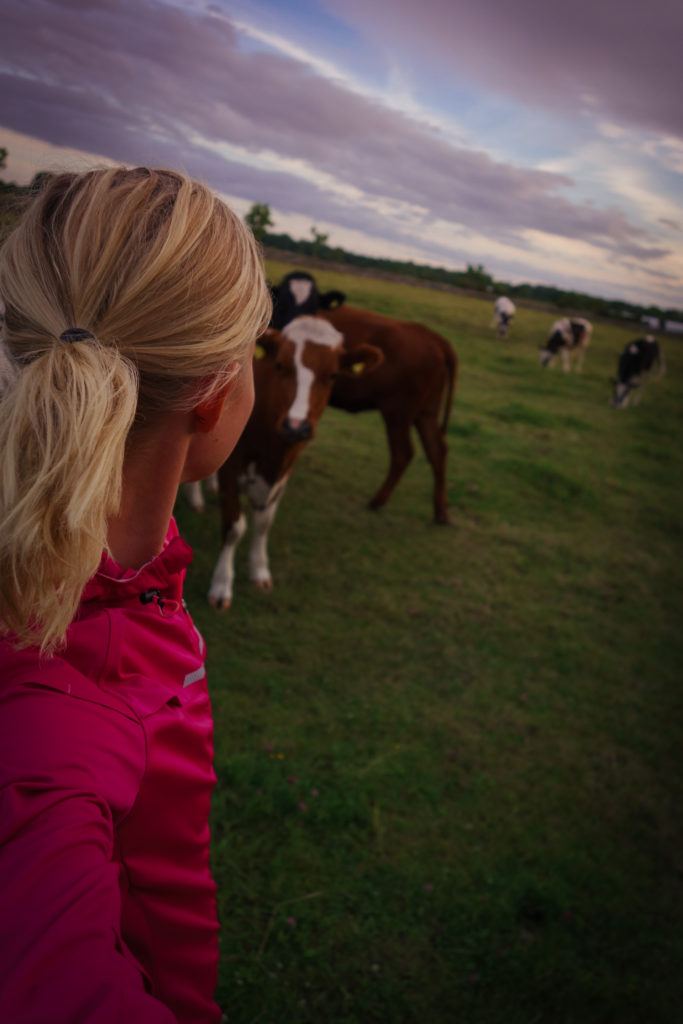 traningskompisar_oland-3