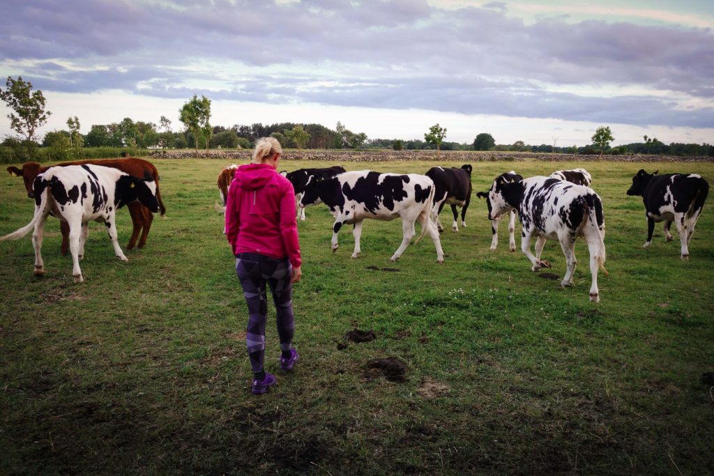 traningskompisar_oland-6