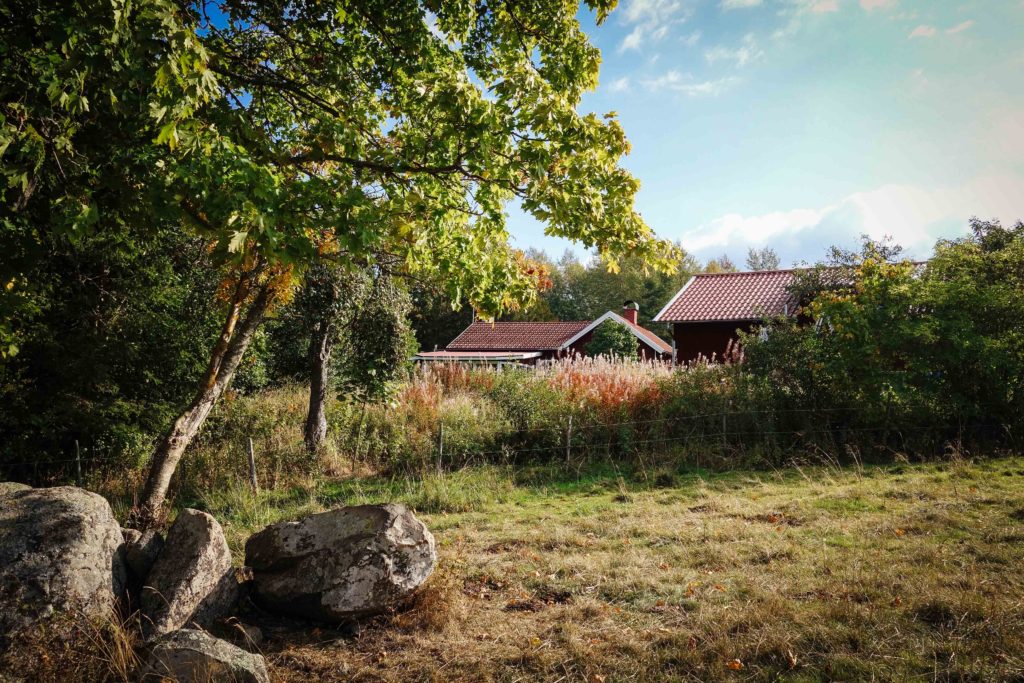 Kvarnskogen_september_2016-13