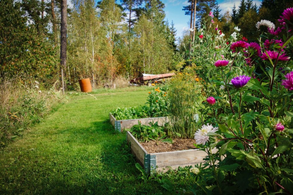 Kvarnskogen_september_2016-7