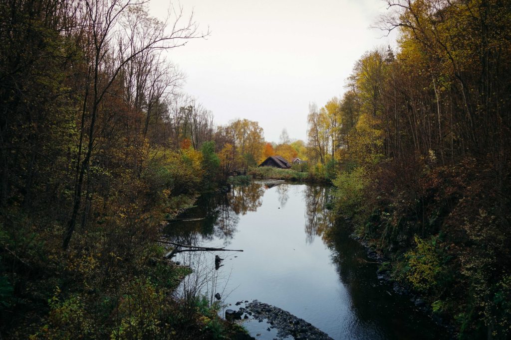 rottle_vastana_rasterna