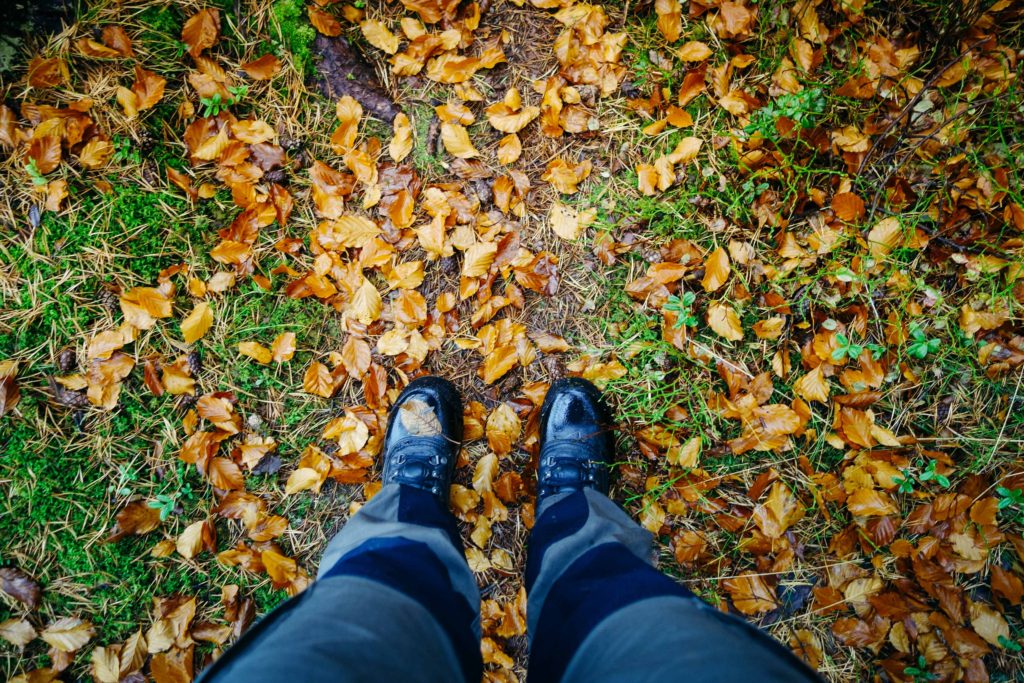 rottle_vastana_rasterna-16