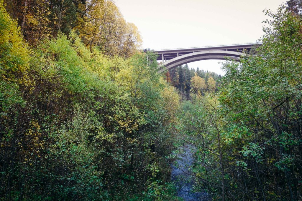 rottle_vastana_rasterna-2