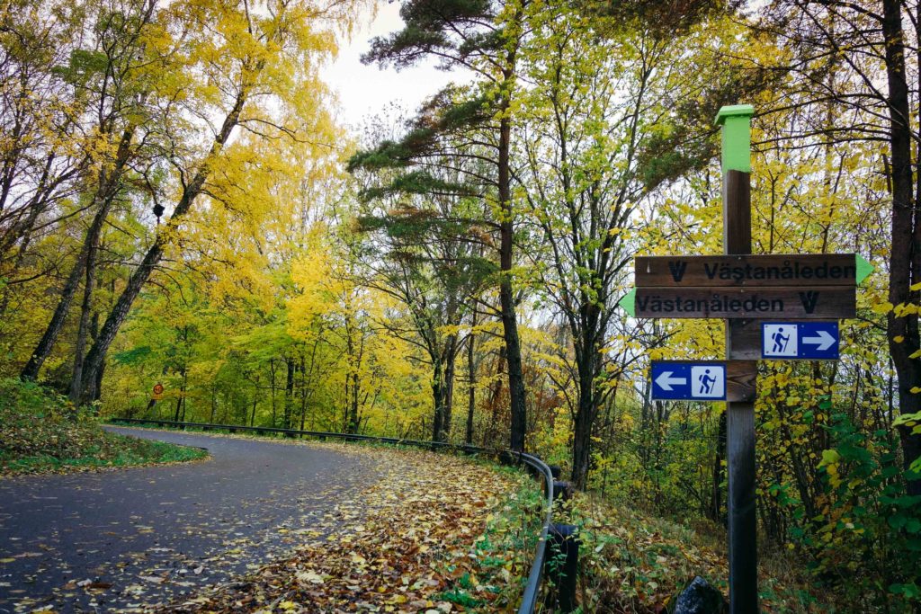 rottle_vastana_rasterna-20