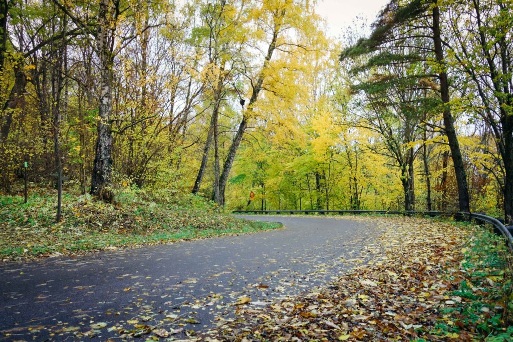 rottle_vastana_rasterna-21