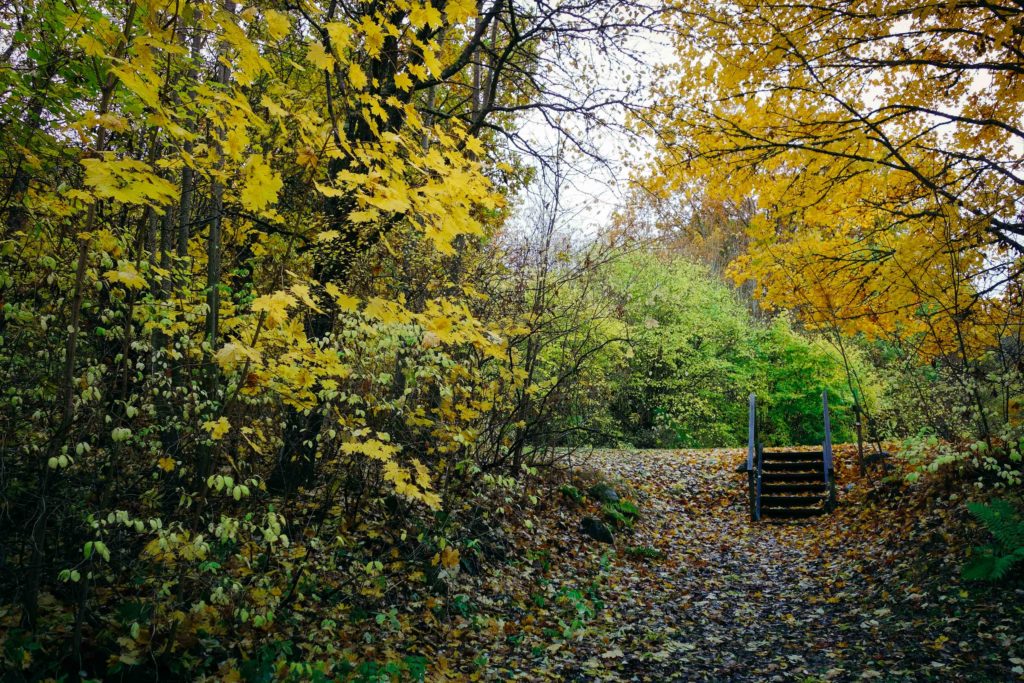 rottle_vastana_rasterna-24