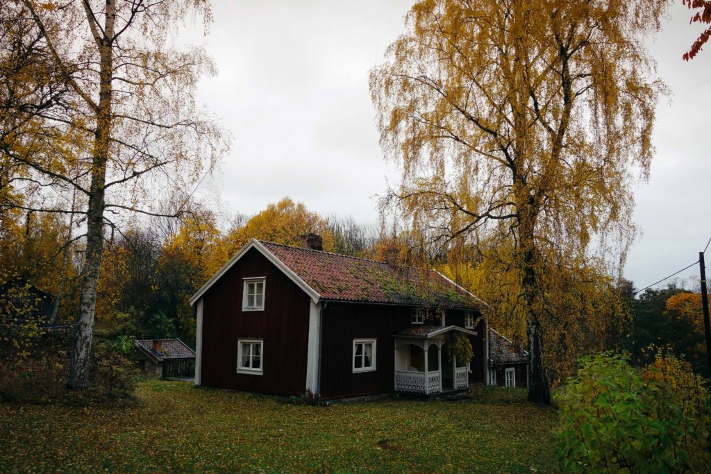 rottle_vastana_rasterna-25