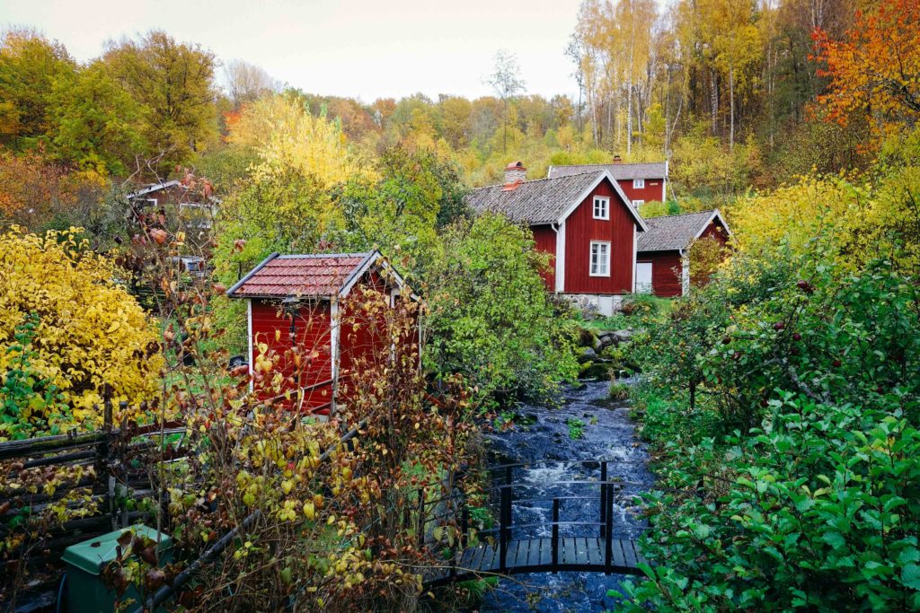 rottle_vastana_rasterna-26