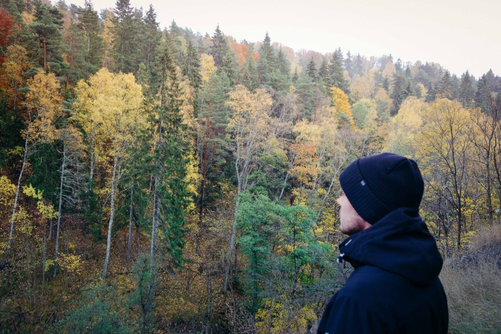 rottle_vastana_rasterna-9