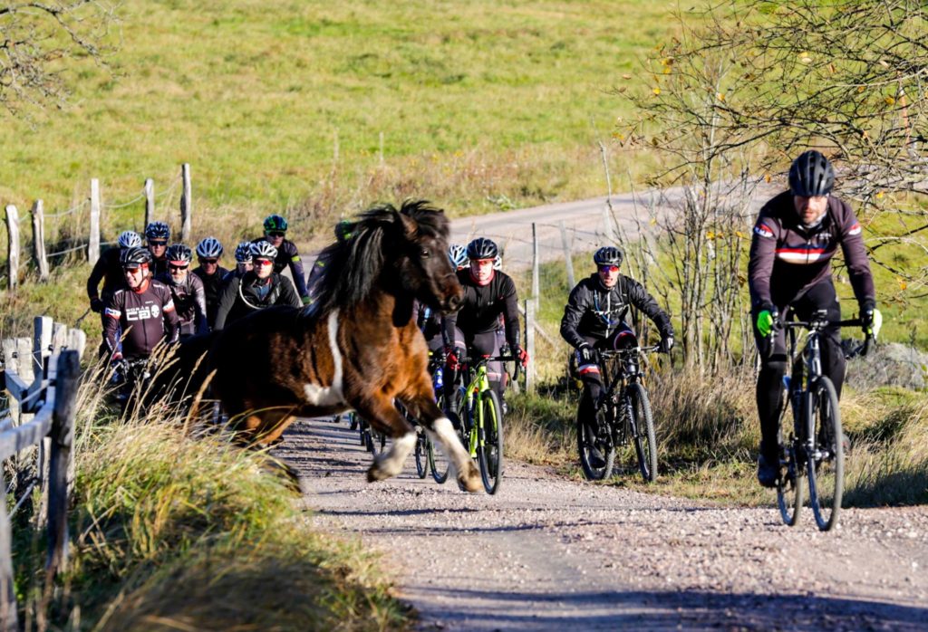 14976447_1257746530953846_6149937743014214429_o