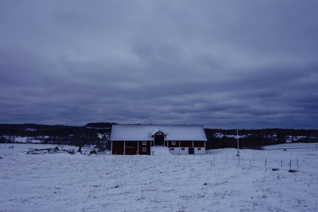promenad-till-reaby-liten-19