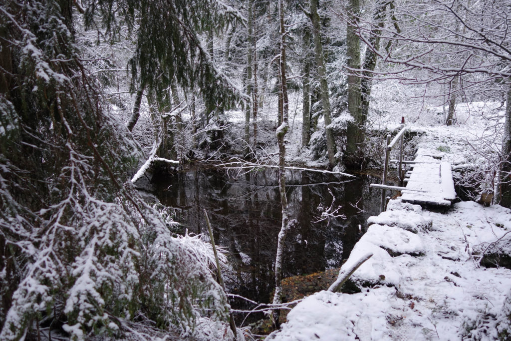 promenad-till-reaby-liten-2