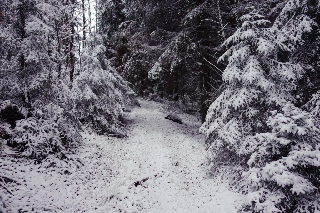 promenad-till-reaby-liten-4