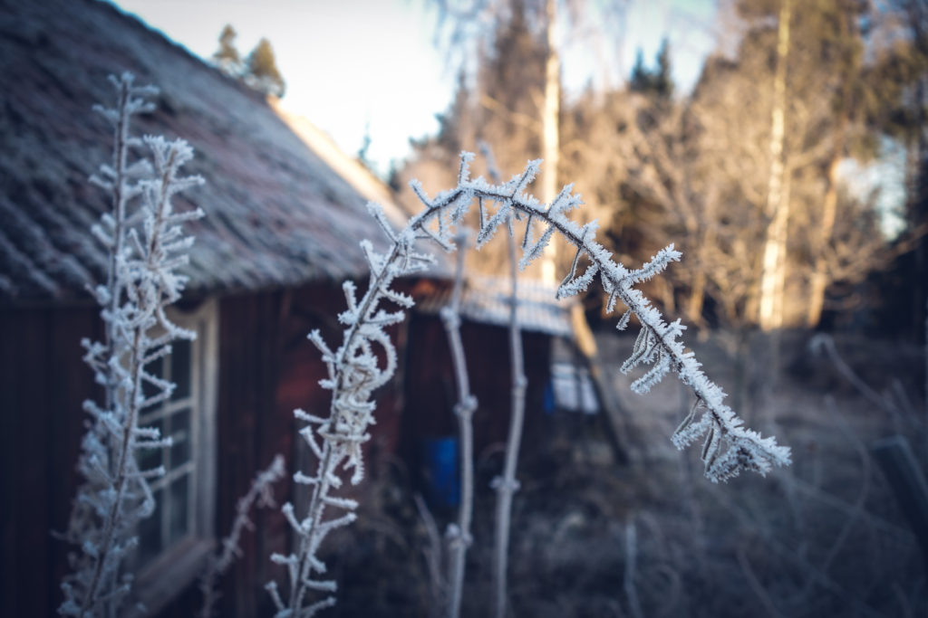 kvarnskogen_alboga_december_2106-15