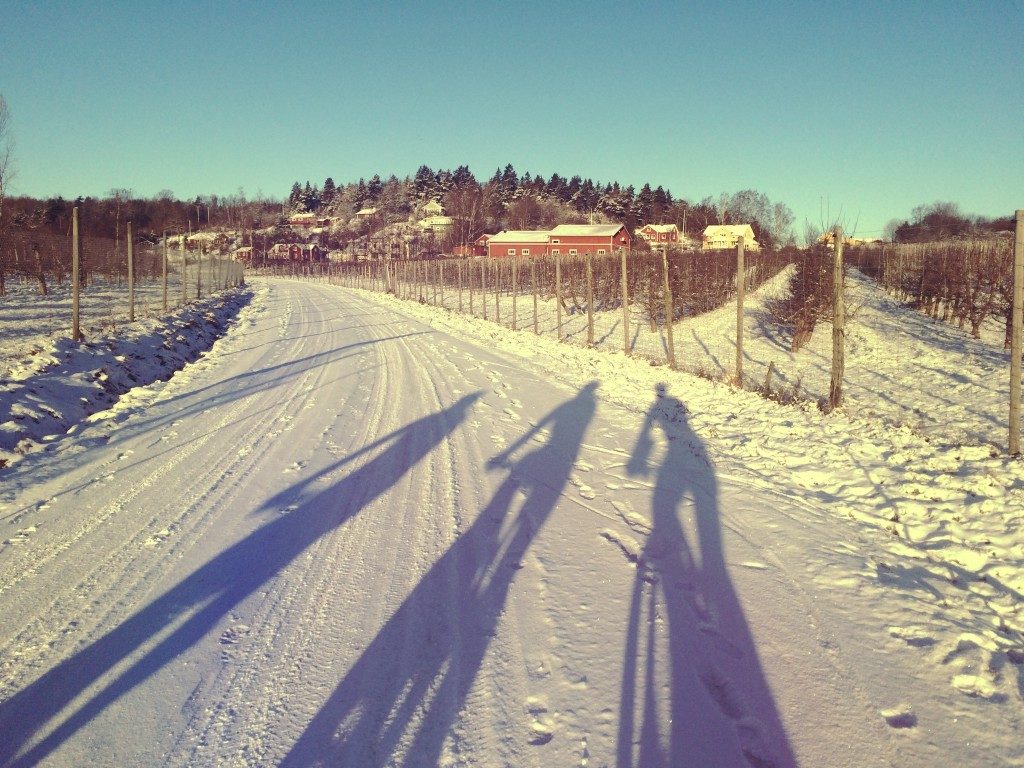 Vinterdistans utan kalla fötter