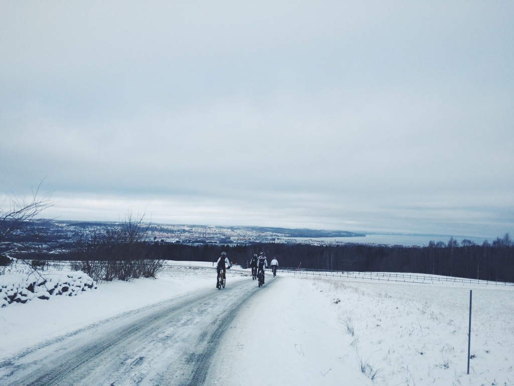 Vinterskor