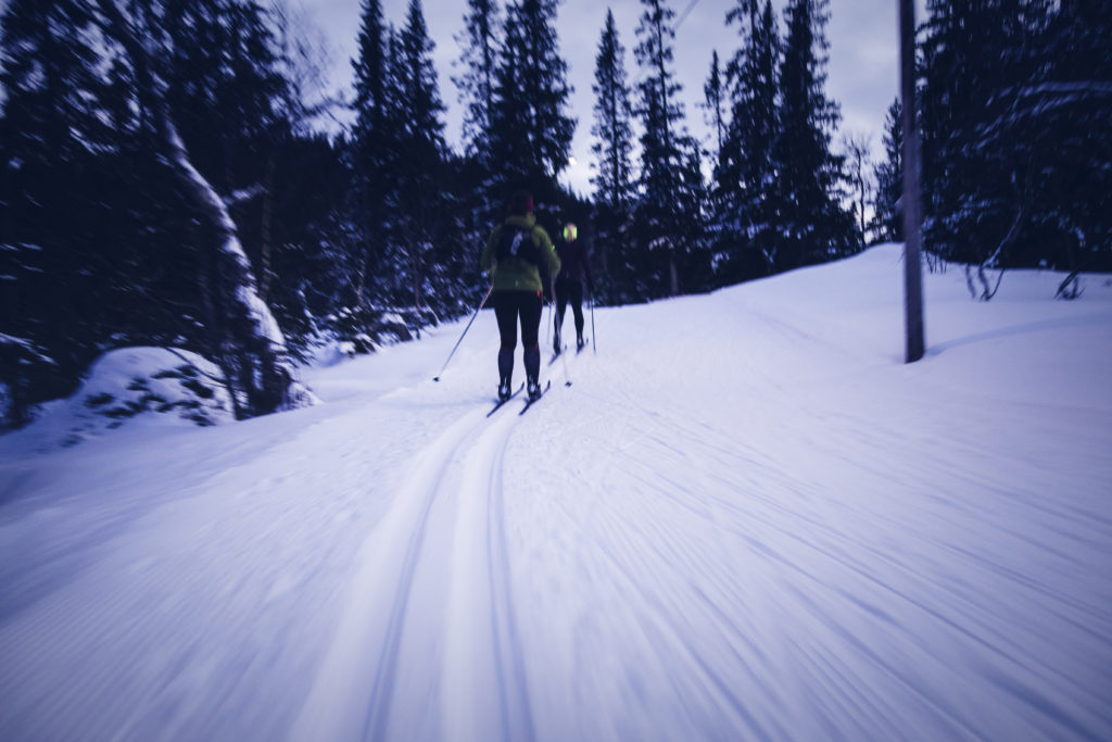 skidspar-are-bjornen-26