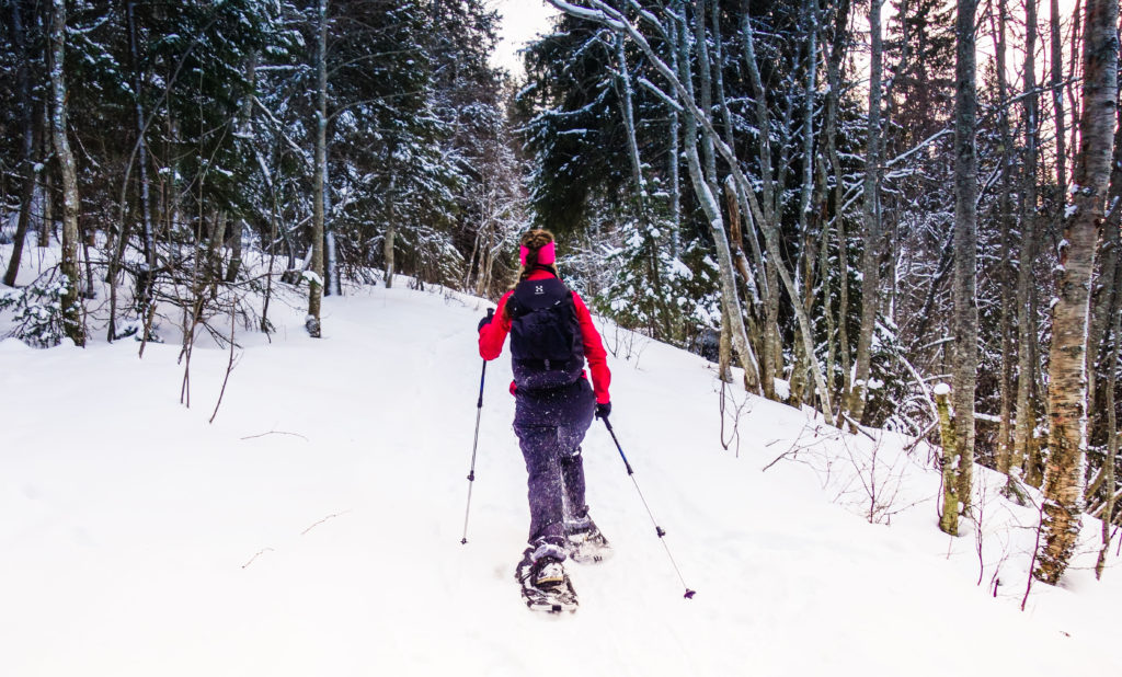 topptur-totthummeln-snoskor