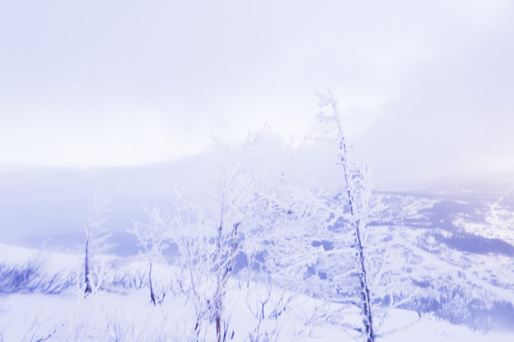 topptur-totthummeln-snoskor-18