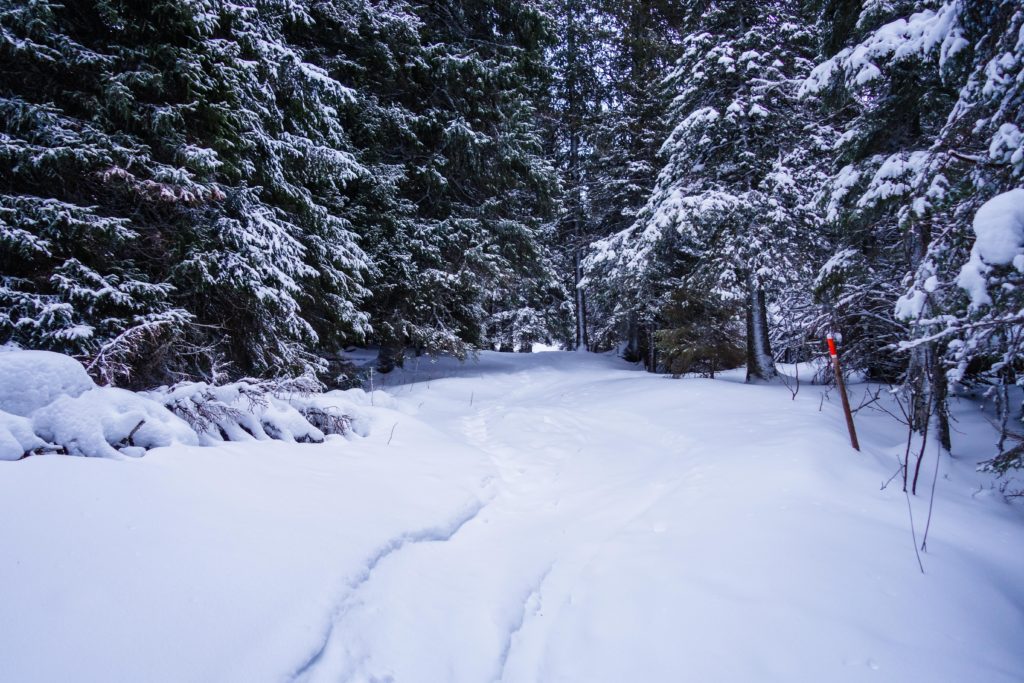 topptur-totthummeln-snoskor-2