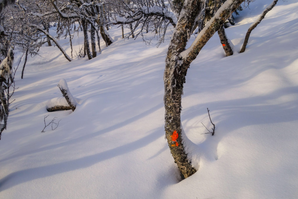 topptur-totthummeln-snoskor-5