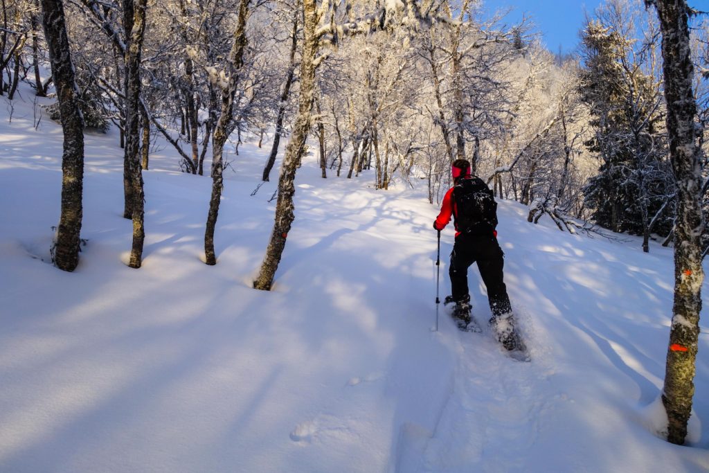 topptur-totthummeln-snoskor-8