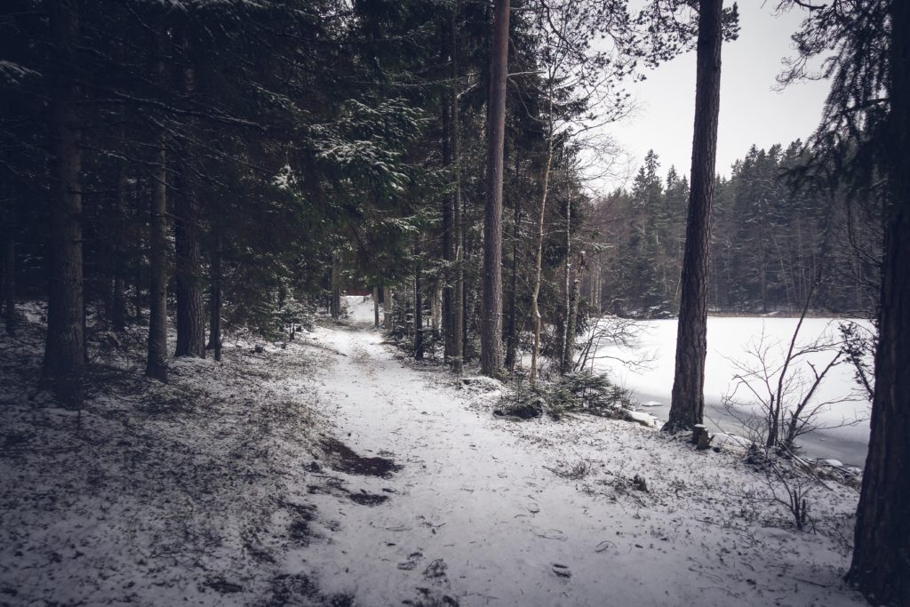 Kvarnsjon-granna-6