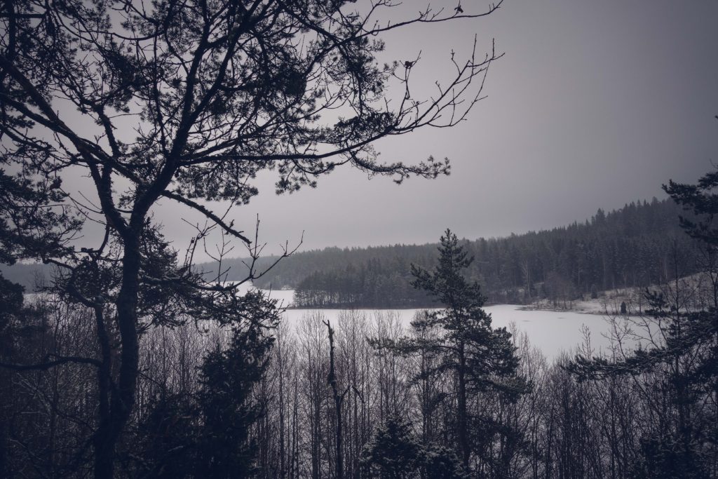 Kvarnsjon-granna-9