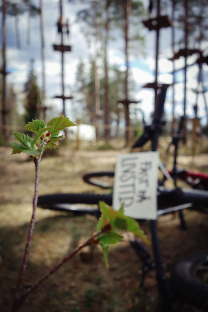 Isaberg Tree Top Adventure
