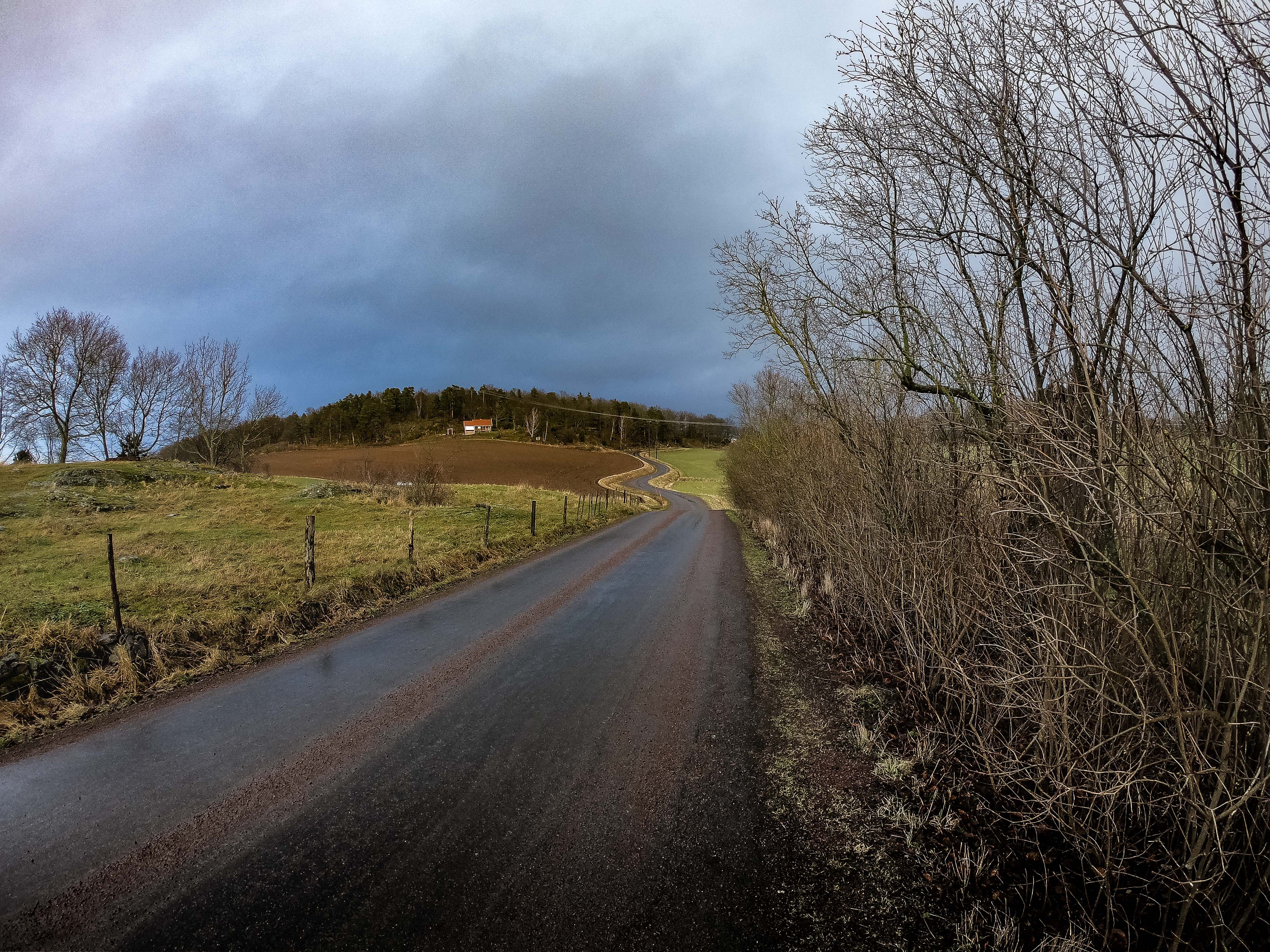 gråbrun cykellycka i Jönköpings Toscana