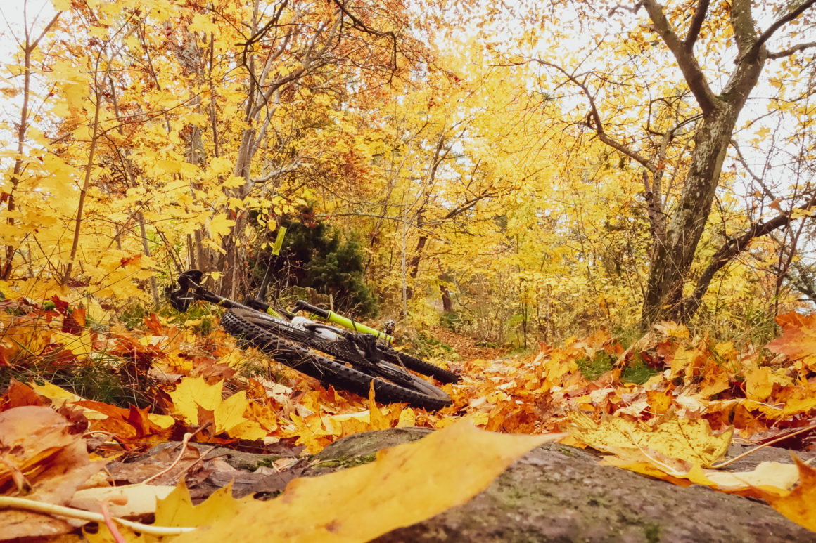 Grännaberget i guld