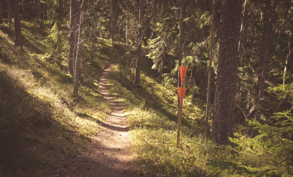 Örsbäcken Illerns Naturreservat Tranås