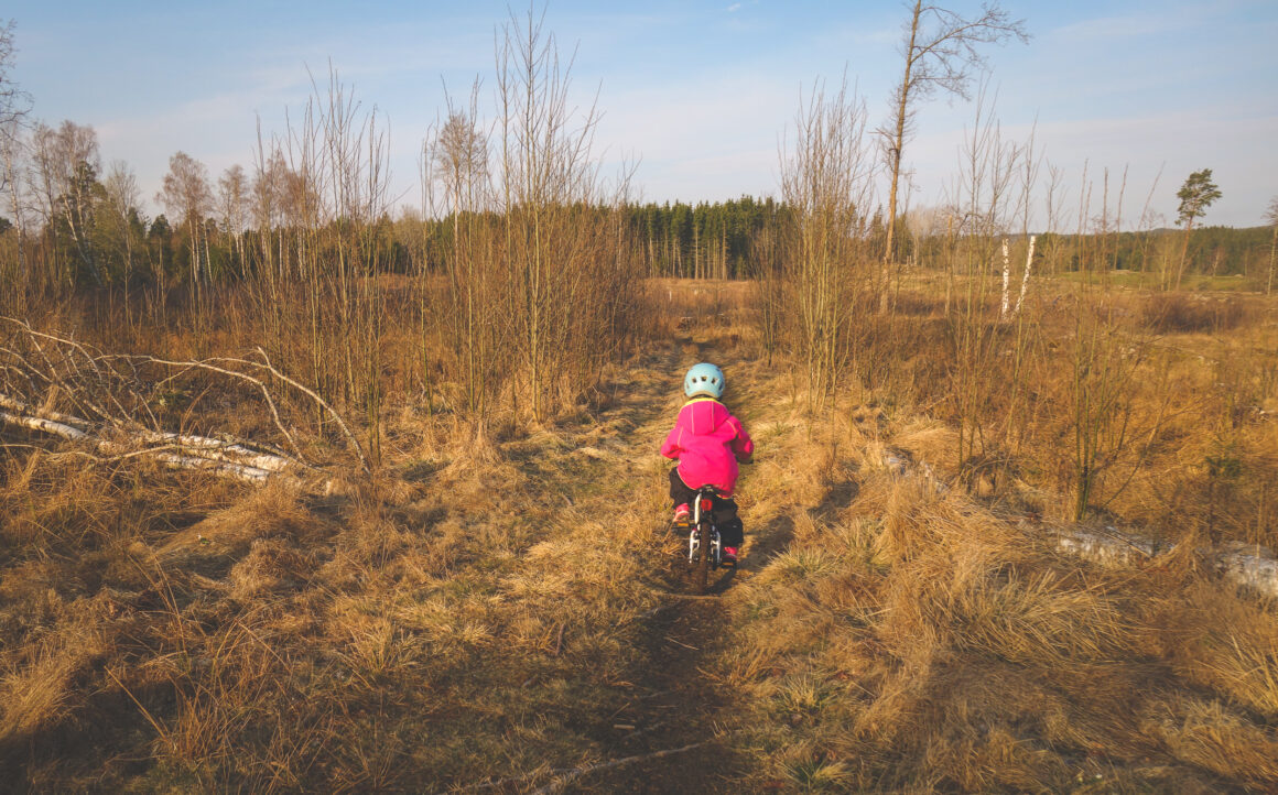 Lovis cyklar till föris